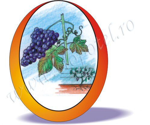 (grape-) vine